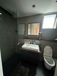 Cairnhill Crest (D9), Condominium #447691401